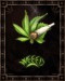 marihua (7).jpg
